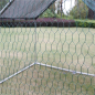 Preview: Zipper Landwirtschaft CR382 Heimtiergehege Voliere Hühnergehege 3m x 8m x 2,50 m