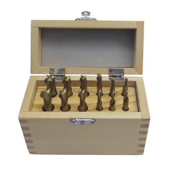 Holzmann Maschinen Schrupp Schraftfräser Set FFS12