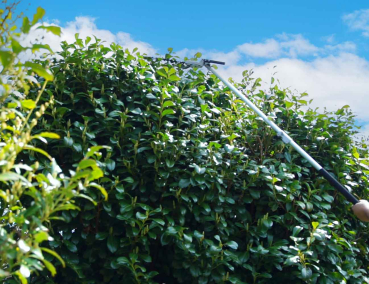 Zipper Maschinen ZI-GPS252 Gartenpflege-Set