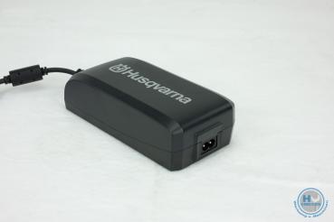 967098202 Husqvarna Akku-Motorsäge 120i Schiene und Kette (H38 45DL X) 30cm - 3/8 mini - 1,1mm (inkl. Akku BLi20 + Ladegerät QC80)