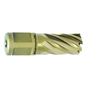 Metallkraft Kernbohrer  GOLD-LINE 30 Weldon, Ø 17 mm