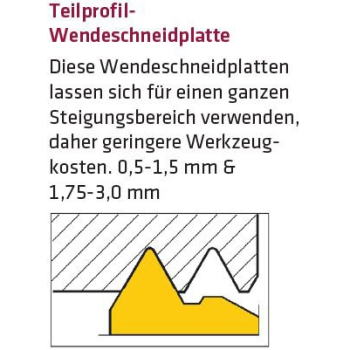 ELMAG Wendeschneidplatte 16NRG60