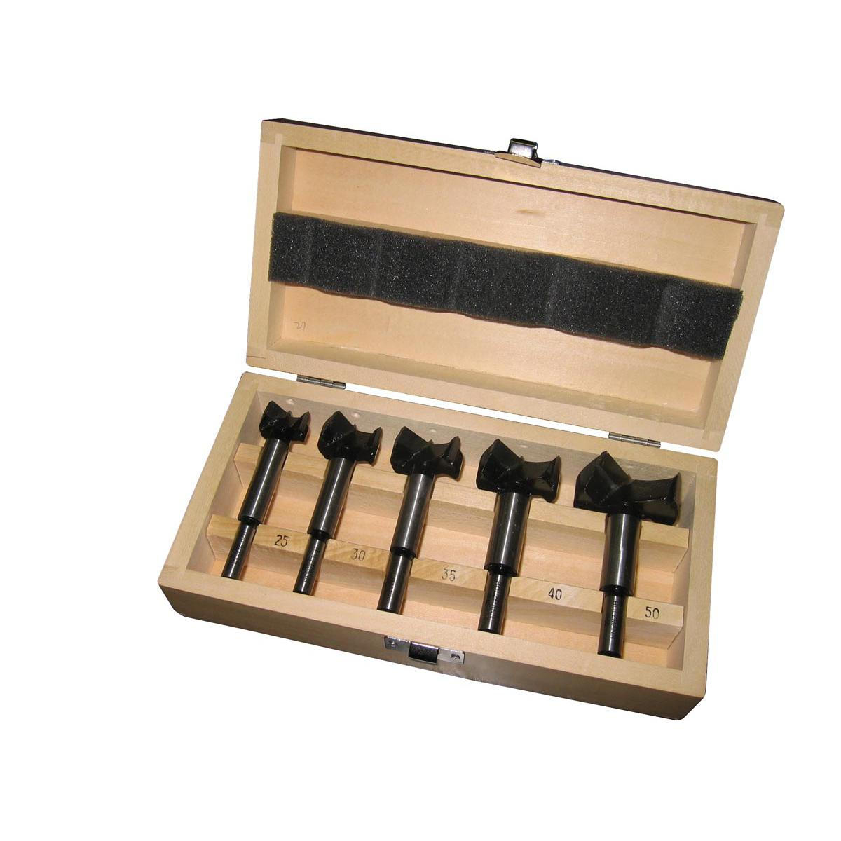 Holzmann Maschinen Kunstbohrer Set mit HM Bestückung FBS5TLG