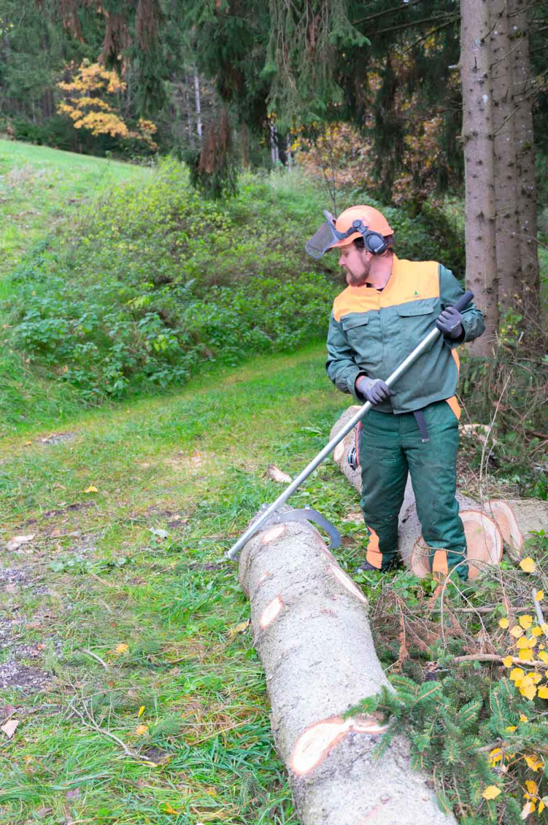 Holzmann Maschinen Wendehaken WEHA1